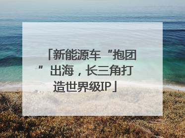 新能源车“抱团”出海，长三角打造世界级IP