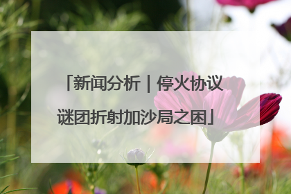 新闻分析｜停火协议谜团折射加沙局之困