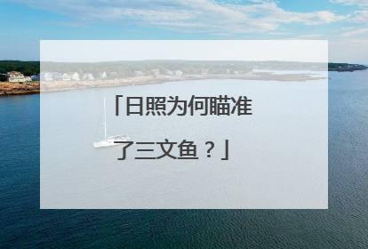 日照为何瞄准了三文鱼？