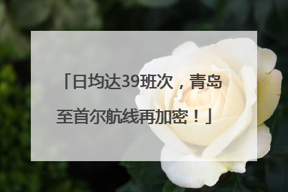 日均达39班次，青岛至首尔航线再加密！