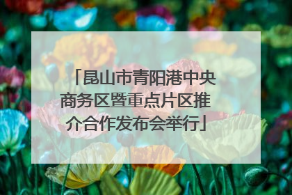 昆山市青阳港中央商务区暨重点片区推介合作发布会举行