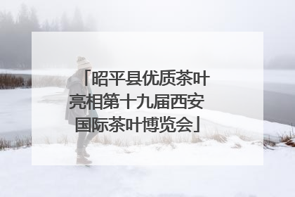 昭平县优质茶叶亮相第十九届西安国际茶叶博览会