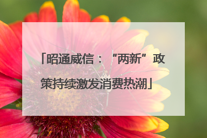 昭通威信：“两新”政策持续激发消费热潮