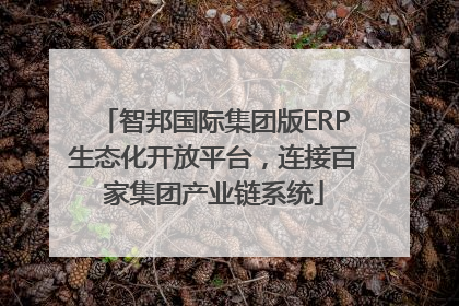 智邦国际集团版ERP生态化开放平台，连接百家集团产业链系统