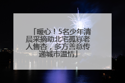 暖心！5名少年清晨采摘助北宅孤寡老人售杏，多方善意传递城市温情