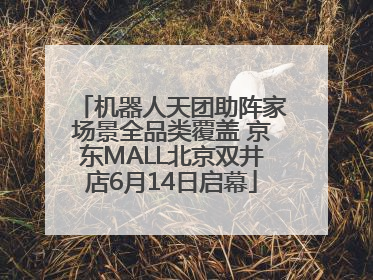 机器人天团助阵家场景全品类覆盖 京东MALL北京双井店6月14日启幕