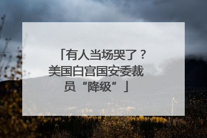 有人当场哭了？美国白宫国安委裁员“降级”