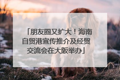 朋友圈又扩大！海南自贸港宣传推介及经贸交流会在大阪举办