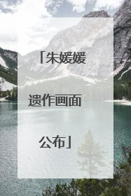 朱媛媛遗作画面公布