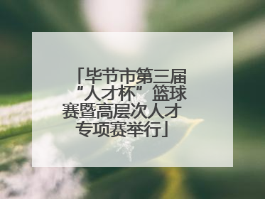 毕节市第三届“人才杯”篮球赛暨高层次人才专项赛举行