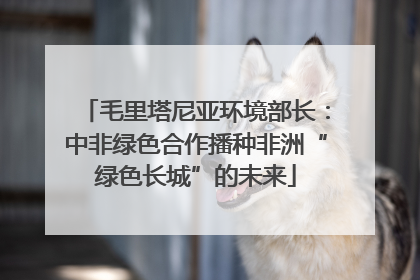 毛里塔尼亚环境部长：中非绿色合作播种非洲“绿色长城”的未来