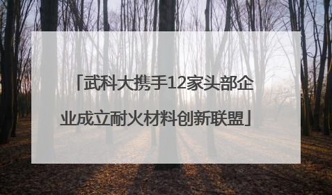 武科大携手12家头部企业成立耐火材料创新联盟