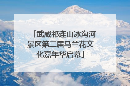武威祁连山冰沟河景区第二届马兰花文化嘉年华启幕