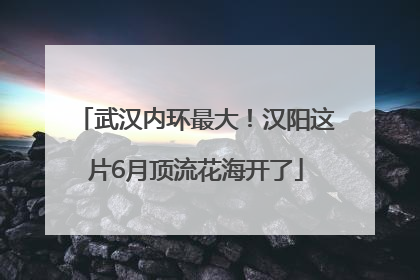 武汉内环最大！汉阳这片6月顶流花海开了