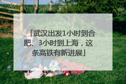 武汉出发1小时到合肥、3小时到上海，这条高铁有新进展