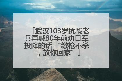 武汉103岁抗战老兵再喊80年前劝日军投降的话 “缴枪不杀，放你回家”