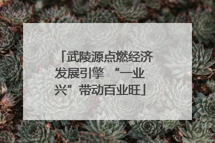 武陵源点燃经济发展引擎 “一业兴”带动百业旺