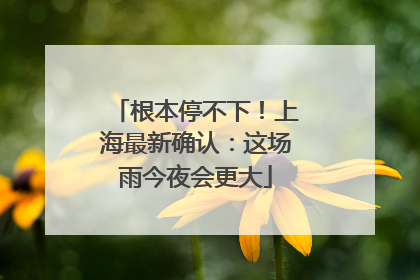 根本停不下！上海最新确认：这场雨今夜会更大
