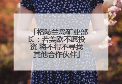 格陵兰岛矿业部长：若美欧不愿投资 将不得不寻找其他合作伙伴