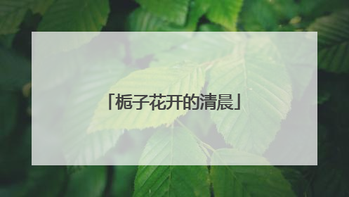 栀子花开的清晨