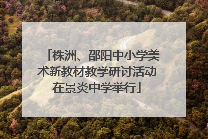 株洲、邵阳中小学美术新教材教学研讨活动在景炎中学举行