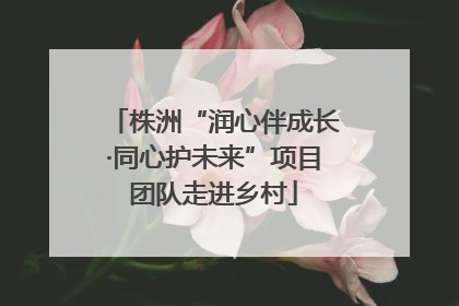 株洲“润心伴成长·同心护未来”项目团队走进乡村