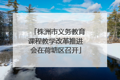 株洲市义务教育课程教学改革推进会在荷塘区召开