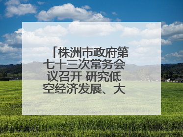 株洲市政府第七十三次常务会议召开 研究低空经济发展、大抓落实等工作