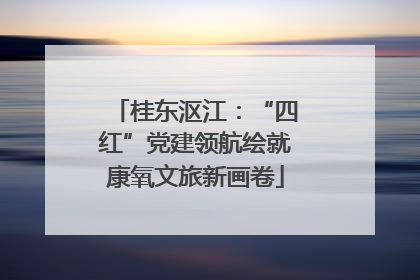桂东沤江：“四红”党建领航绘就康氧文旅新画卷