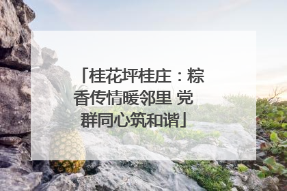 桂花坪桂庄：粽香传情暖邻里 党群同心筑和谐