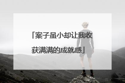 案子虽小却让我收获满满的成就感