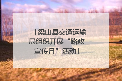 梁山县交通运输局组织开展“路政宣传月”活动