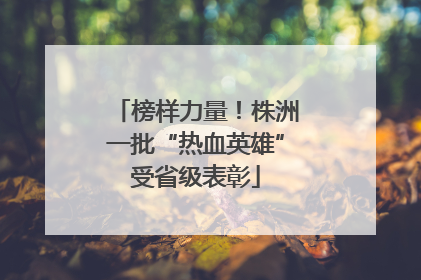 榜样力量！株洲一批“热血英雄”受省级表彰