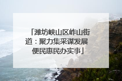 潍坊峡山区岞山街道：聚力集采谋发展 便民惠民办实事