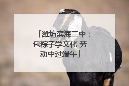 潍坊滨海三中：包粽子学文化 劳动中过端午