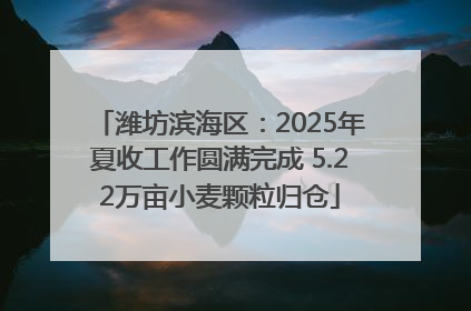 潍坊滨海区：2025年夏收工作圆满完成 5.22万亩小麦颗粒归仓
