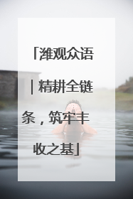 潍观众语｜精耕全链条，筑牢丰收之基