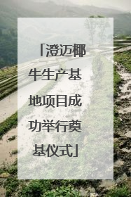 澄迈椰牛生产基地项目成功举行奠基仪式
