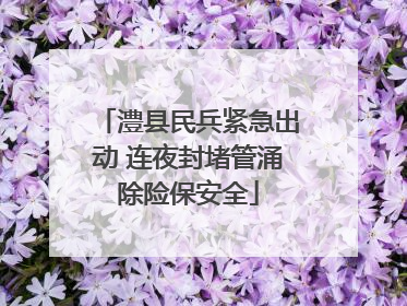 澧县民兵紧急出动 连夜封堵管涌除险保安全