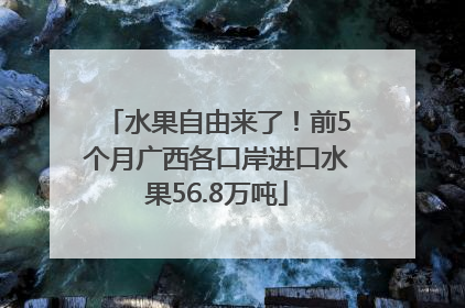 水果自由来了！前5个月广西各口岸进口水果56.8万吨