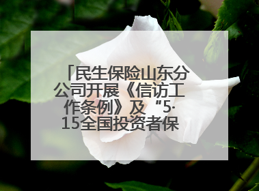民生保险山东分公司开展《信访工作条例》及“5·15全国投资者保护宣传日”活动