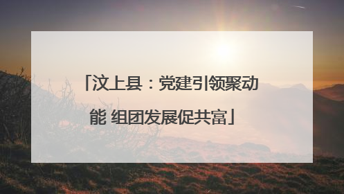 汶上县：党建引领聚动能 组团发展促共富