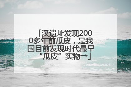 汉遗址发现2000多年前瓜皮，是我国目前发现时代最早“瓜皮”实物→