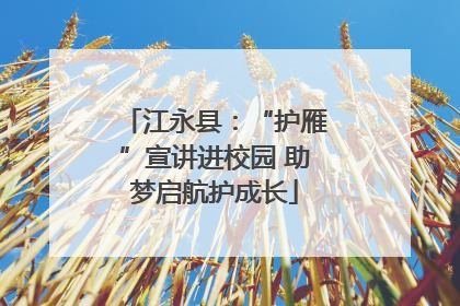 江永县：“护雁”宣讲进校园 助梦启航护成长
