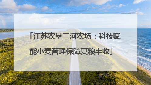江苏农垦三河农场：科技赋能小麦管理保障夏粮丰收