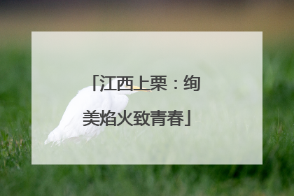 江西上栗：绚美焰火致青春