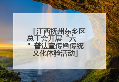 江西抚州东乡区总工会开展“六一”普法宣传暨传统文化体验活动