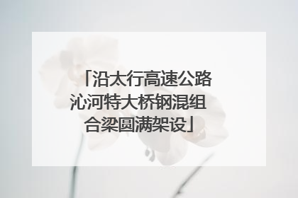 沿太行高速公路沁河特大桥钢混组合梁圆满架设