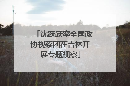 沈跃跃率全国政协视察团在吉林开展专题视察