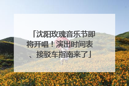 沈阳玫瑰音乐节即将开唱！演出时间表、接驳车指南来了